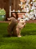 Charming Nibbling Squirrel Garden Statue - Perfect Outdoor Decor and Wildlife Ornament