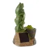 Solar Rotating Frog Garden Decor